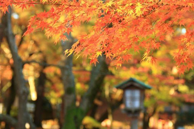 Kanazawa Machiya Inn Hana 외부 사진